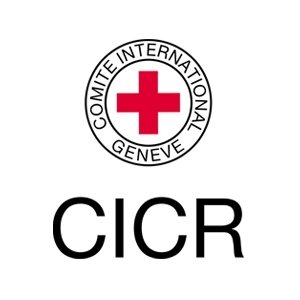 ICRC Cyberspace Delegation